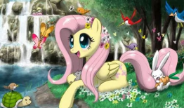 小马宝莉视频,友谊的力量，勇敢的冒险之旅