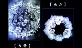 水知道答案视频完整版,科学实证与心灵奥秘的完美融合