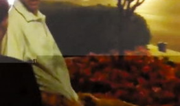 耍流氓视频,耍流氓视频背后的真相与反思